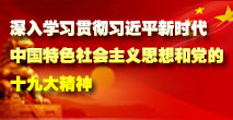 大余深入学习习近平新时代中国特色社会主义思想的党的十九大精神.jpg