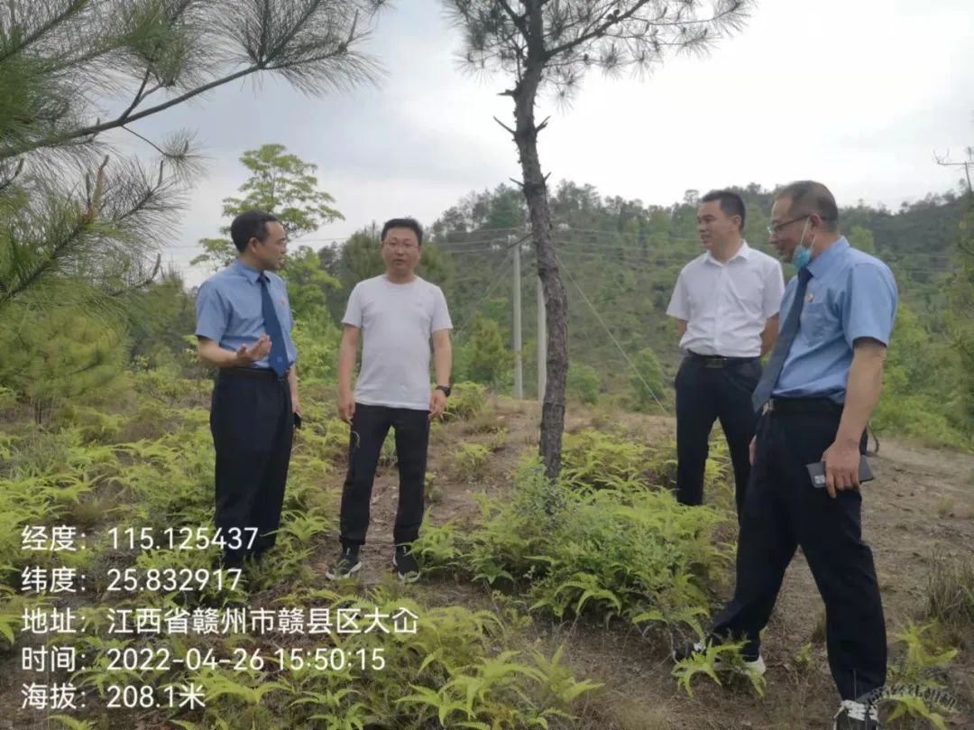 【检察长带头办案】公益诉讼检察护航绿水青山