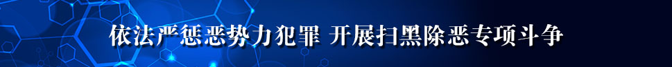 兴国依法严惩恶势力犯罪 开展扫黑除恶专项斗争.jpg